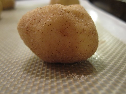 Snickerdoodle Cookie Dough