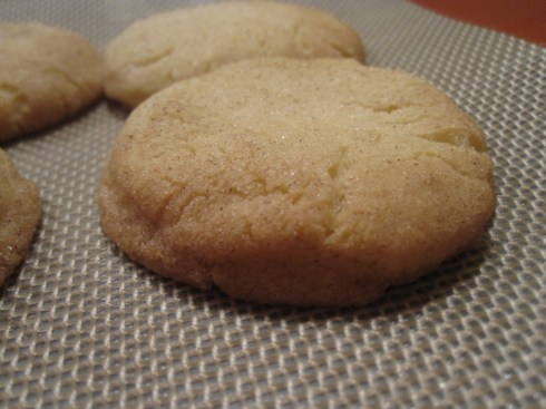 Warm Snickerdoodle Cookies