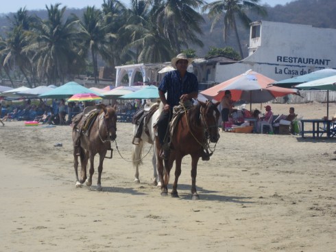 Man Walking Horses Manzanillo
